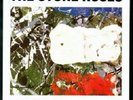 STONE ROSES I AM THE RESURRECTION 12