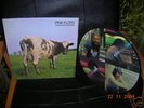 PINK FLOYD - ATOM HEART MOTHER LP RARE & GREAT PIC DISC
