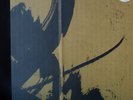 BOGDAN RACZYNSKI - SAMURAI MATH BEATS, DBL LP (REPHLEX)