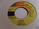 AMBASAN / FRANKIE PAUL / A BOOM / KILLA