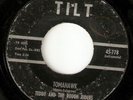TEDDY & ROUGH RIDERS tomahawk ROCKABILLY SURF 45 HEAR