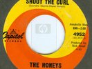 Honeys (Beach Boys) surf 45 