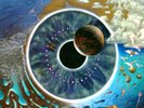 PINK FLOYD PULSE LIVE LP BOX SET