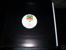 Alpheus Taylor Raid / Raid Dub Mix Black Ant 12