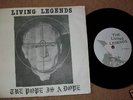 LIVING LEGENDS.POPE IS A DOPE.RARE KBD PUNK crass,dicks