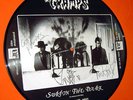 THE CRAMPS  Surfin The Dark  LP  picture disc