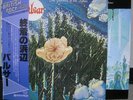 PULSAR / THE STRANDS OF THE FUTURE - Japan w/obi