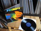 FRUMPY ALL WILL BE CHANGED 1970 MINT PLASTIC SLEEVE