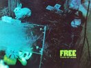 2 Rare Free LPs Tons Of Sobs UK Pink Island MINT A2/B2