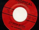 DOOWOP TEEN- TROPICAL--RITE CUSTOM--EARTHMEN--HEAR BOTH