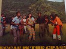 STUDIO ONE:TOP HITS LP:REGGAE IN THE GRASS LK/listen
