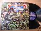SAVOY BROWN-