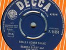 SANDRA BARRY & BOYS*REALLY GONNA SHAKE(THE ACTION) HEAR