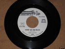 Bonnie and Treasures PHI DAN 5005 PROMO 7
