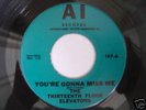 13th Floor Elevators - You're Gonna Miss Me. Mod/garage
