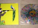 Fun - Aim & Ignite - Color Splatter 12