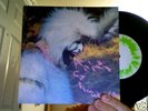 Animal Collective Who Could Win A Rabbit 7