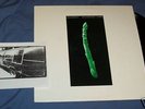 Shotmaker/Maximillian Colby-Split LP-emo indian summer