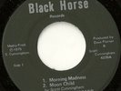Scott Cunningham Black Horse Rare Private Soul 45 HEAR