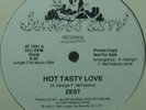 PROMO* Zest - Hot Tasty Love *BOOGIE, ELECTRO* Scarce