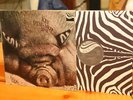 KIN PING MEH LP NO 2 ZEBRA GERMANY STEREO 2949 005 RARE