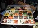 Pearl Jam No Code Factory Sealed Record Album LP MINT