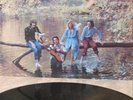 ALBUM/RECORD/LP-WINGS- WILD LIFE - 1st pressing-nr mint