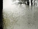 ?? BON IVER For Emma, Forever Ago BRAND NEW,SEALED ??