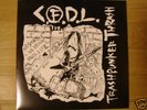 CFDL / TRASHPUNKER THRASH RESALT SDS DISCLOSE DEATHSIDE