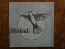 BLUEBIRD LP RARE CANADA PRIVATE AOR MUSICAL INSERTS MP3