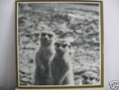 REICHEL - KNISPEL DUO - 