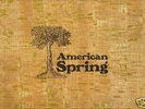 American Spring/Brian Wilson - American Spring 1972 LP