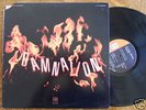 Damnation of Adam Blessing 1970 psych LP