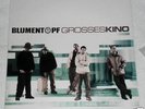 Blumentopf - Großes Kino Doppel-LP (2LP,DoLP)