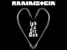 RAMMSTEIN ICH TU DIR WEH 12