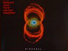 Pearl Jam - Binaural    2-LP Vinyl  (Sammlerstück)