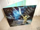 Amon Düll  Psychedelic Underground