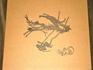 THE SILVERSUN PICKUPS-  PIKUL 10” EP MINT