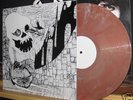 RUDIMENTARY PENI LIVE 1982 LP punk/crass/crust/vinyl