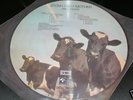ATOM HEART MOTHER PINK FLOYD VINILE PICTURE DISC