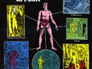 THE SEVEN AGES OF MAN LP - GORDON BECK, HAROLD McNAIR