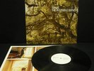 Travis - The Invisible Band LP  Indie