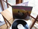 EMBRYO´S RACHE 1971 TOP MINT CONDITION 