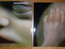 RAMMSTEIN MUTTER LP 2001 MOTOR MUSIC GERMAN PRESSING M
