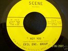 60s GARAGE--EVIL ENC. GROUP--HEY YOU / THE POINT IS