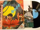 COCHIN MOON LP Hosono & Yokoo & Ryuichi Sakamoto Y.M.O.