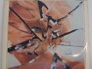 STEVE LACY QUARTET sortie Polydor lp Enrico Rava orig