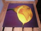 Swans – The Burning World - vinyl LP 1989