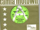 VELVELETTES - NEEDLE IN A HAYSTACK - TMG806 DEMO