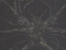 KAAMOS----same---- LP--sealed